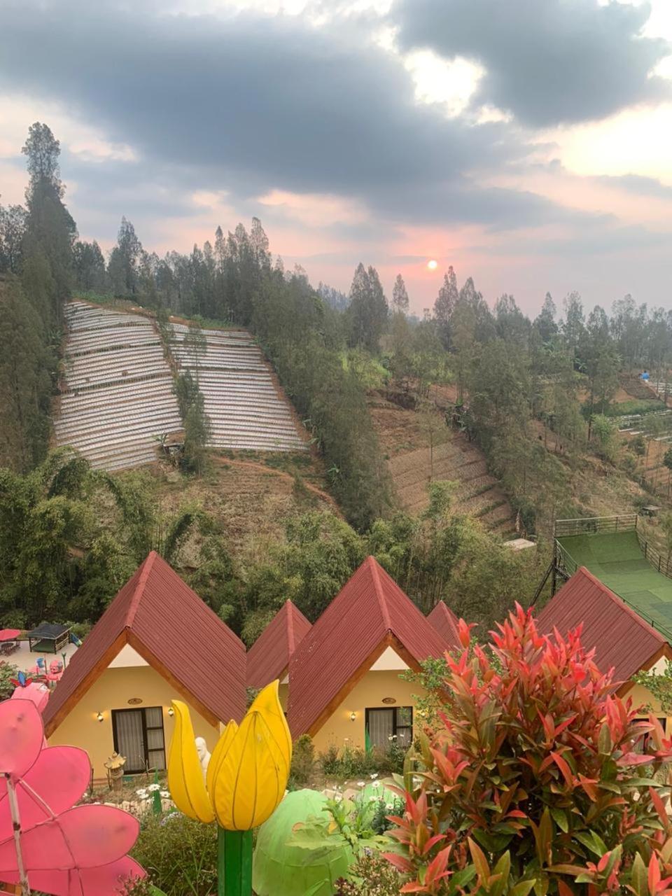 Hotel Nature Bromo And Resort Pasuruan Eksteriør billede